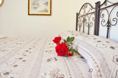 Apulia Holiday Apartment - Affitti Brevi Italia