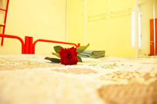 Apulia Holiday Apartment - Affitti Brevi Italia