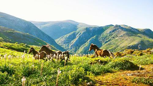 Hotel Agrinho Suites & Spa Ger�s