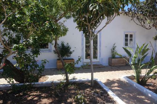 Salmoura