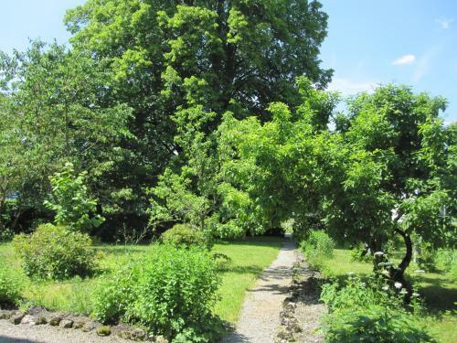 Bed & Breakfast Romantic-pension Albrecht