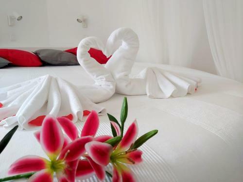 Apartamento Suite Romantica Com Meia-pensao - Duna Parque Group