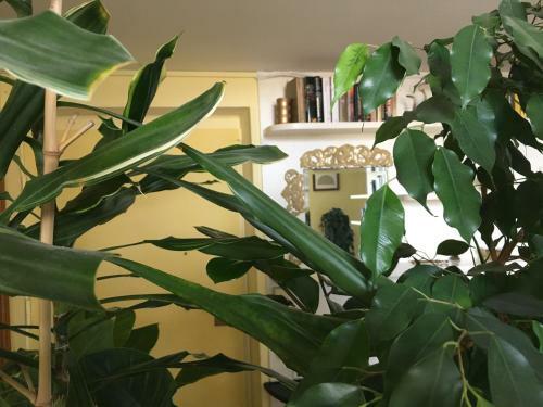 Apartamento Finestra Su Genova - Free Parking