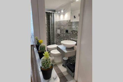Apartamento La Casa Comoda (citra 010025-lt-1901)