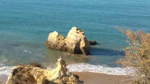 Apartamento Albur Village B - Lotus