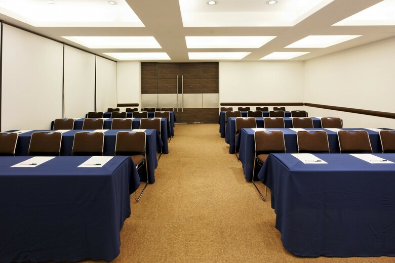 Hotel Holiday Inn Mexico City-plaza Universidad