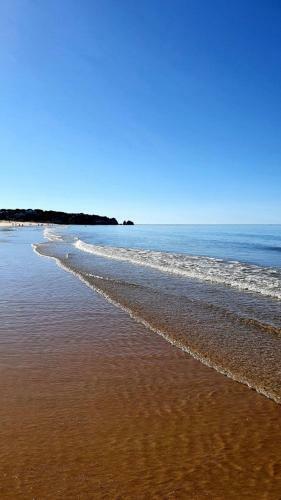 Apartamento Dunas 142