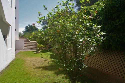 Apartamento Mar E Sol Amoreira