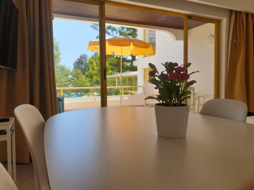Apartamento Quinta Do Rom�o