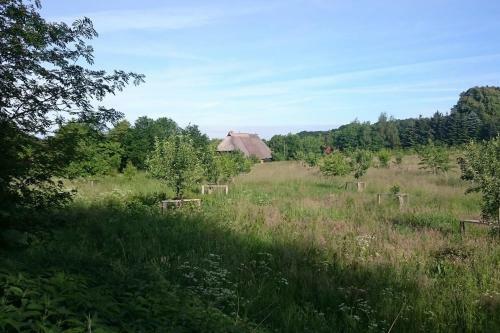 Apartamento Chalet Forsthof Everstorf