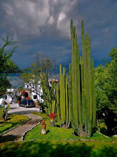 La Casa De Las Bugambilias - Boutique Villas Xichu