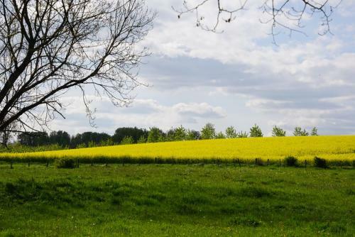 Bed & Breakfast La Grange De F�licie
