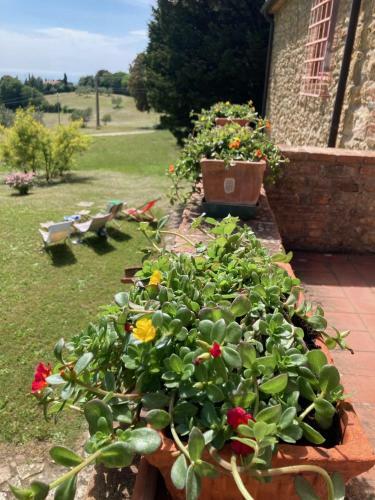 Il Pietraio, Antico Podere In Toscana