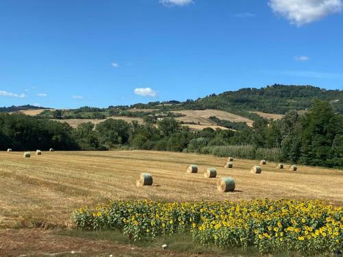 Apartamento Locazione Turistica Sommnium