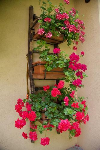 Apartamento Casa Ricard