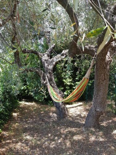 Hostal La Vert Olive