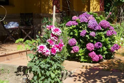 Hotel Do�ana Blues