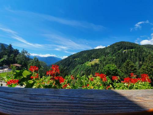 Apartamento Mesnerhof