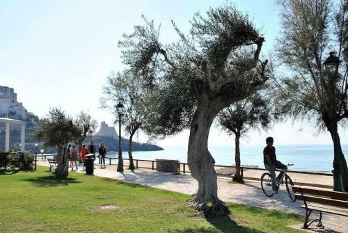 Attico Blu Monolocale Con Terrazza A 50 Mt Dal Mare