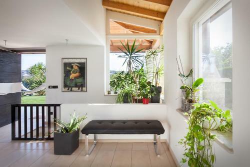 Villa Mexico-con Piscina E Whirpool