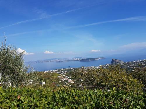 Apartamento Casa Mo Ma Vacanze Ischia