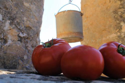 Agroturismo Finca Son Pieras