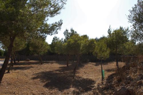 Agroturismo Finca Son Pieras