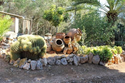 Agroturismo Finca Son Pieras