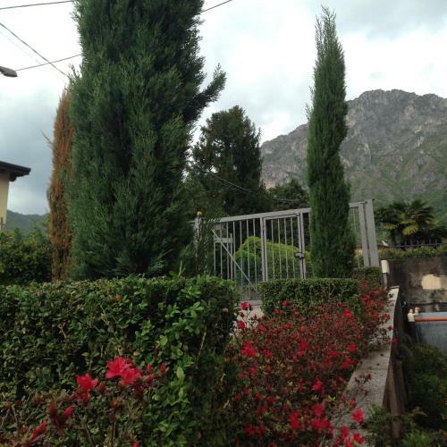 Apartamento La Casa Degli Ulivi
