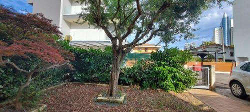 Apartamento Appartamento Equilio