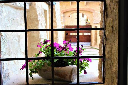 B&B Arco Di Vino