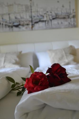 "villa Giulia Nicole" Apartaments- Country House
