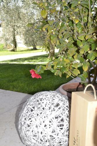 "villa Giulia Nicole" Apartaments- Country House