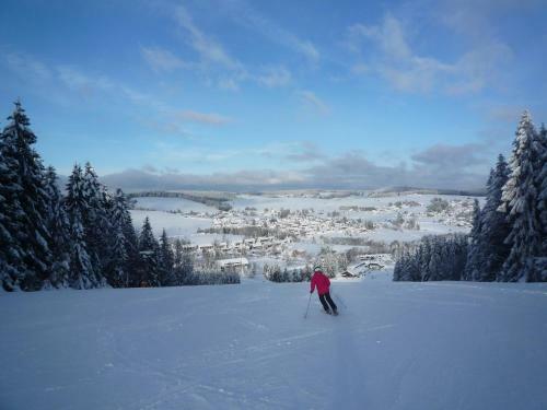 Apartamentos Ferienwohnungen Am Skilift