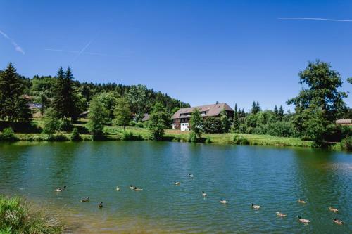 Apartamentos Ferienwohnungen Am Skilift