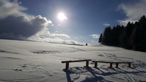 Apartamentos Ferienwohnungen Am Skilift