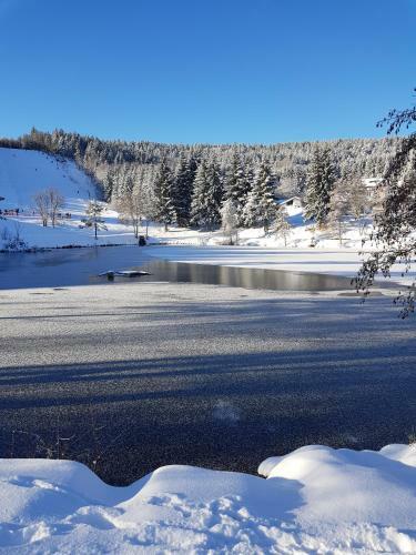 Apartamento Jules Traum Im Schwarzwald