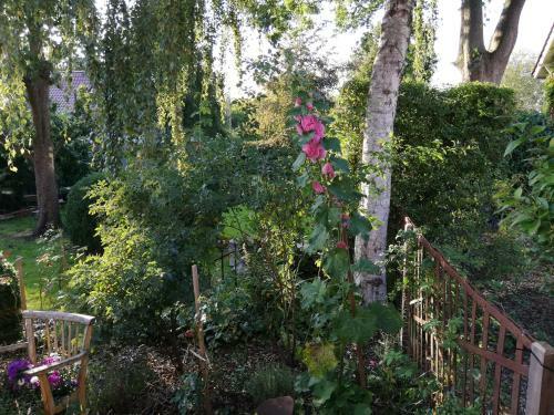 Apartamento Alte Pastorei