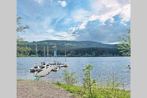Apartamento Ferienwohnung Schwarzwald