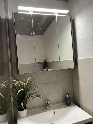 Apartamento App 420 Im Panoramic Braunlagehohegei�