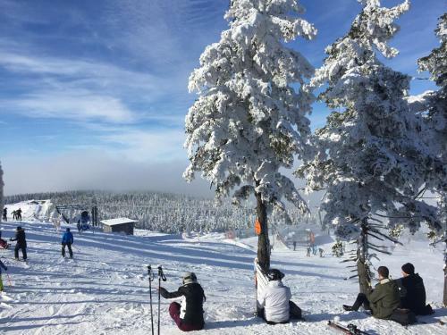 Apartamento Ferienwohnung Harz-flair 264