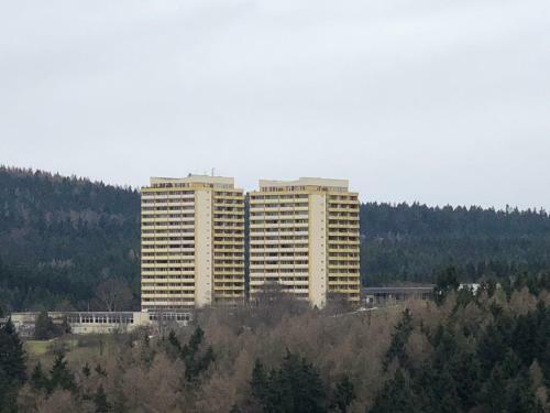 Apartamento Ferienwohnung Harz-flair 264