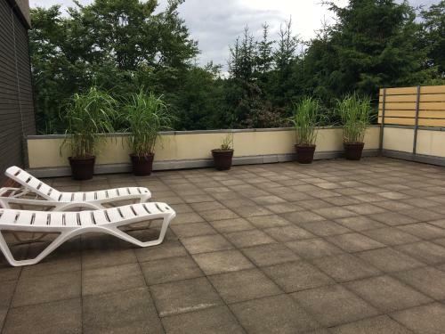 Apartamento Ferienwohnung Harz-flair 264