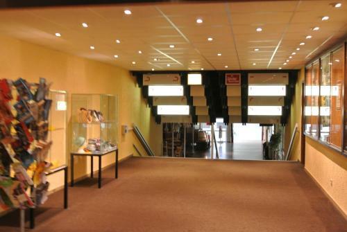 Apartamento Ferienwohnung Harz-flair 264