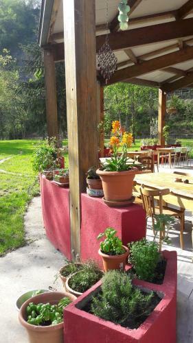 Albergue Ostello Valtrebbia