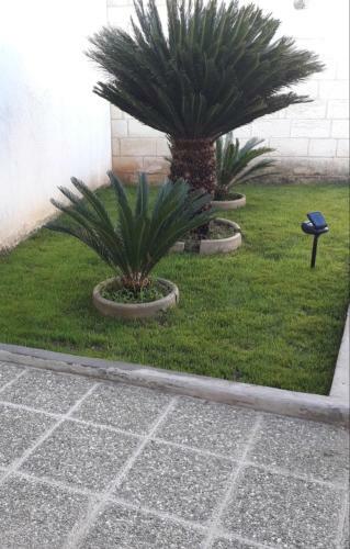 Apartamento Casa Vacanze Nonna Silvia
