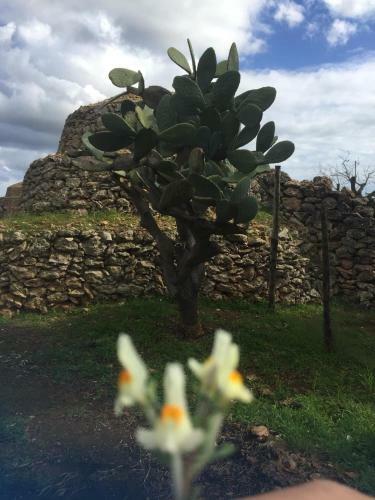 Apartamento I Trulli Della Masseria Del Salento
