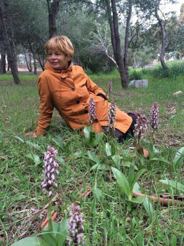 Apartamento Orchidea Mattinata Parco Del Gargano