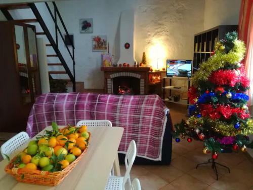 Agroturismo Giardini Romeo La Melia