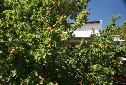 Agroturismo Giardini Romeo La Melia